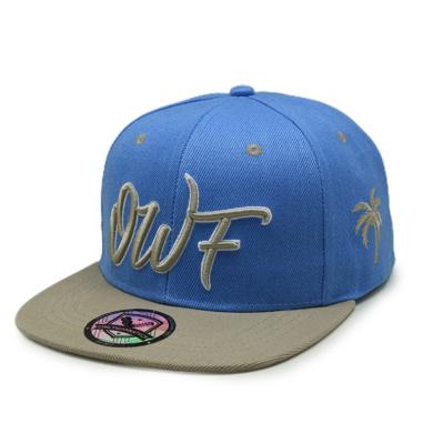 China Custom JOINT Fashion Logo Color Snapback Hats Sports Hat For Seasons for sale