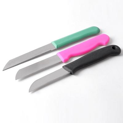 China Viable 12PCS Stainless Steel Single Color Handle Fruit Knife Set Paring Knives Peeling Knives Set Vegetable Cutter For Home Use for sale