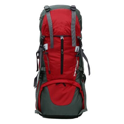 China Travel Waterproof Hot Selling Lightweight Nylon Bag Hiking Backpack for sale