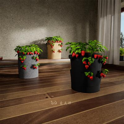 China Barrel Shape Plant Grow Bags Garden Greenhouse 5 7 Cover 10 Gallon Felt Strawberry Bag For Plants for sale