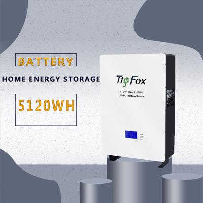 China Home Backup Power CHY Tigfox 10KW 5KW Home Solar Storage Energy Battery 48v 100ah Home Lifepo4 Battery with BMS for sale