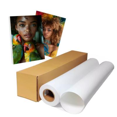 China Pigment Inkjet RC 240gsm Photo Paper Roll  With Resin Coating for sale