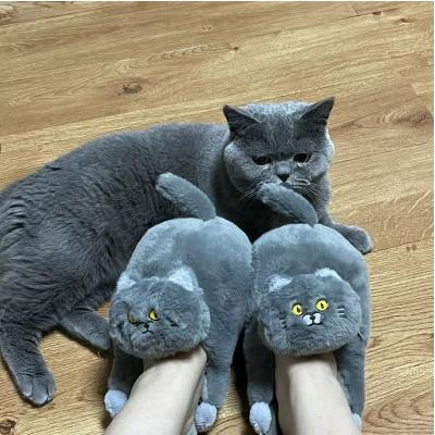 China Cushioning Adorable Fur Cat House Slippers Floette Plush Kitten Slides Shoes Gray Drop Shipping Blue Cat Furry White Slippers For Women G for sale