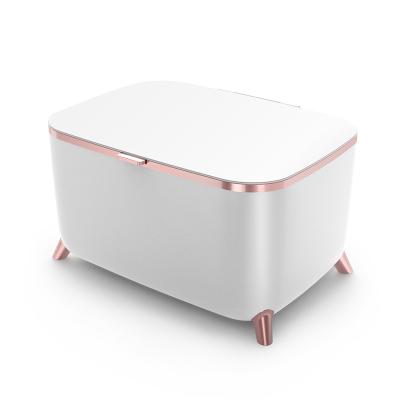 China THERMO-ELECTRIC Custom Portable Glass Door Makeup Small Refrigerator Mini Fridge For Cosmetic for sale