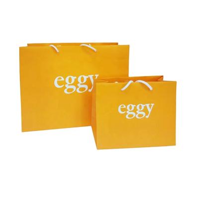 China Recyclable Stylish Customized Gift Shopping Paper Bag For Boutique Store for sale