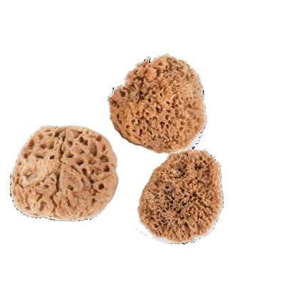 China Wall Sponge TM-HM 4/5/6/7inches Artist Natural Decorative Faux Natural Wall Sponge Painting Wall Sponge Tool Finishing Sponge for sale