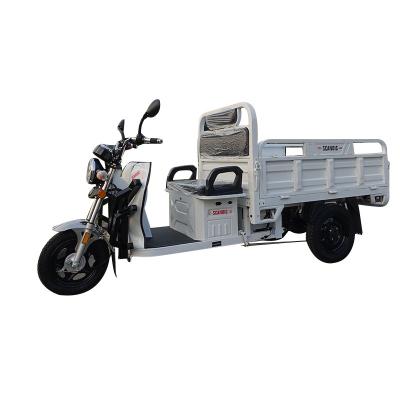 China Modern Design Electric Cargo Tricycle Electric Vehicle Space Large Battery Tender Tricycle for sale