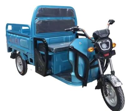 China 200kg Payload Capacity Electric Tricycle Truck for Adult Household and Transportation for sale