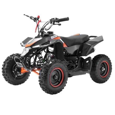 China 500W Electric ATV Tricycle Motorcycle Front and Rear Disc Brake System for Passenger for sale