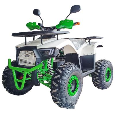 China Kids and Adults 50CC Off-Road Gasoline Motorcycle 2-Stroke ATV with Passenger Seat for sale