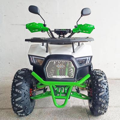 China Experience the Power of Our 1000W Electric ATV 4 Wheel All Terrain Vehicle for Adults for sale