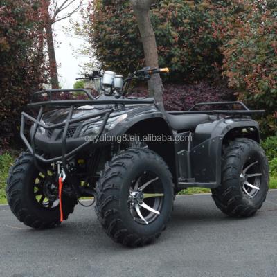 China 250cc Four-Stroke Four-Wheel Off-Road ATV with Chain Drive and Customization Features for sale