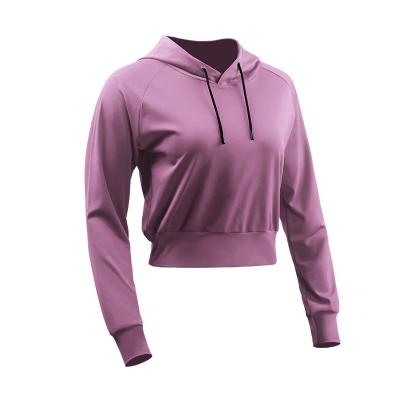 China Women Hoodie Sports Fitness Leisure Shorts Loose Pullover QUICK DRY Running Yoga Long Sleeve for sale