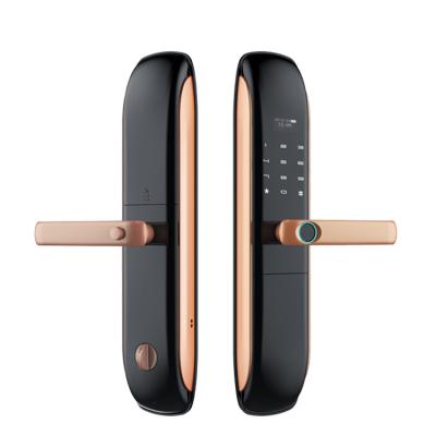 China Smart Security Lock Fingerprint Password Fingerprint Door Lock Systems 364*80 Mm for sale