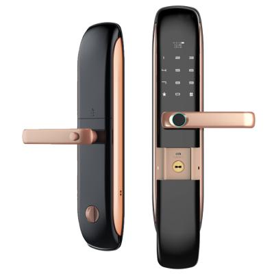 China Fingerprint Password Smart Lock OEM Electric Intelligent Door Lock For Home Door 364*80 mm for sale