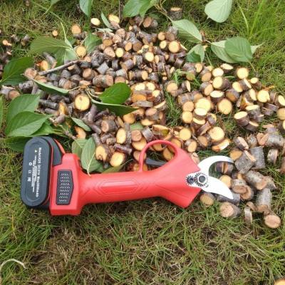 China Garden Pruning Elertrich Cordless Branch Shears Manual Tree Branch Cutter Pruning Scissors for sale