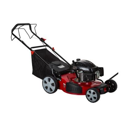 China Design 139cc Self Propelled Wholesale Displacement Manufacturer Wenxin Garden Lawn Mowers for sale