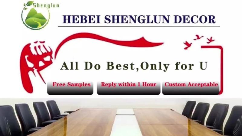 Verified China supplier - Hebei Shenglun Commerce Co., Ltd.