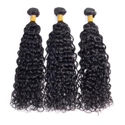 China Brazilian Water Wave Water Wave Bundles Business Hair Weave Bundle 100% Remy Brazilian Hair Extensions for sale