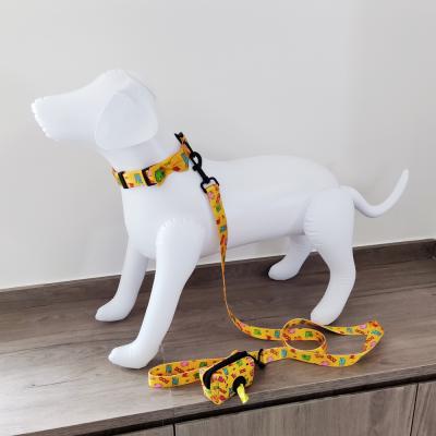 China Famous lights bdsm pvc customize logo rope set luxury nylon training cat dog pet leash and tie collar set for sale