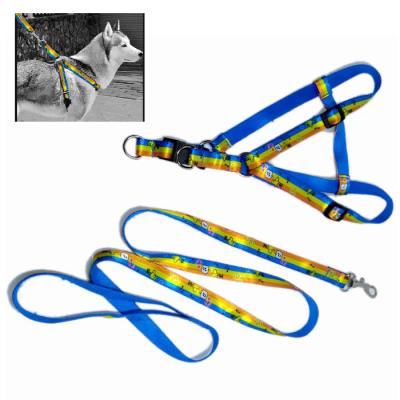 China Luxury Pet Collar and Leashes Satin Bowls Reflective Small Pet Harness Leashes Recycled Dog Leashes Manufacturer for sale