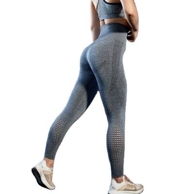 China Breathable In Textured Hip Up Sexy Booty Wholesale Running Hollow Out Women Bottom Seamless Gaiters High Waist for sale