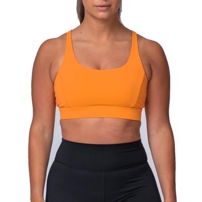 China Custom hot sale 2022 new design breathable plus size woman fitness sports seamless bras for sale