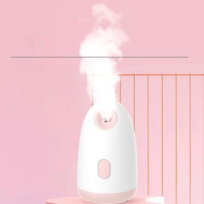 China Protable Mini Handy Facial Steamer Professional Humidifier Steamed Mist Facial Steamer Instrument for sale