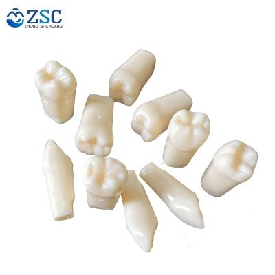 China 32 28 Replacement Typodont Plastic Dental Teeth Models With Straight Roots For Practice for sale