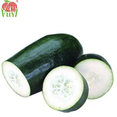 China Fresh winter melon / all four seasons can be eaten / large melon for sale