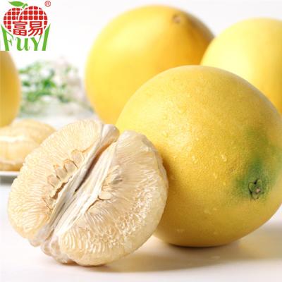 China 2017 fresh new crop fresh grapefruit for sale