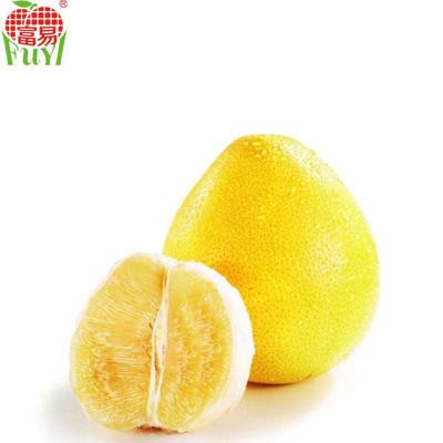 China Fresh White Pulp Honey Pomelo Red Pulp for sale