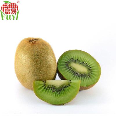 China fresh fresh chinese kiwi fruit for export for sale