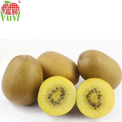 China China Fresh Kiwi Fruit Price Fresh Kiwi Gold Exporter for sale