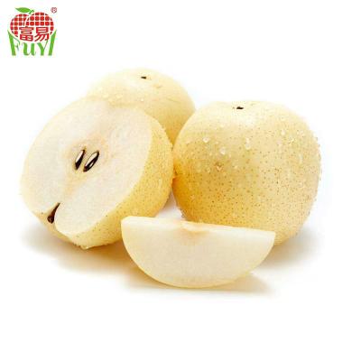 China 2020 excellent fresh pear fresh pear fruit pear golden fresh pear cultivation / china pears for sale