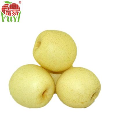 China fresh fresh pears for sale