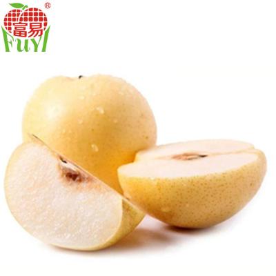 China Fresh Chinese Brown Shingo Pear Wholesale for sale