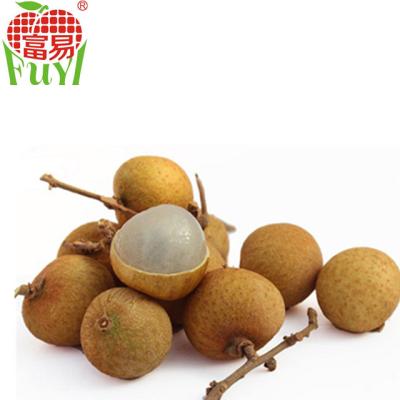 China 100% Sweet Fresh Orchard Longan Fruit for sale