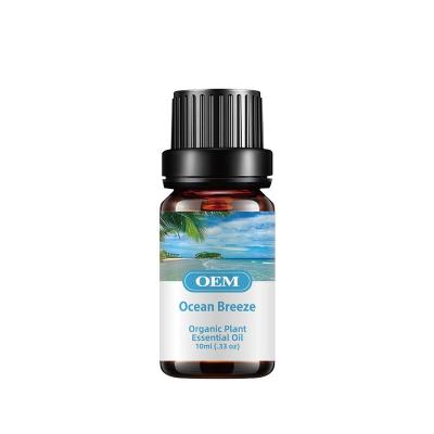 China Pure Skin Revitalizer Essential Oil Air Humidifier Aromatherapy Ocean Breeze Oil for sale