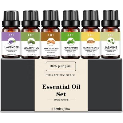 China Skin Revitalizer 6 Packs Essential Oil Gift Aromatherapy Set Pure Frankincense Jasmine Sandalwood Eucalyptus Lavender Essential Oil for sale