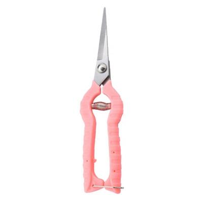 China Professional Gardening Anti-skid Handle PARON Shears Tree Shears Scissors Flower Garden Shears for sale