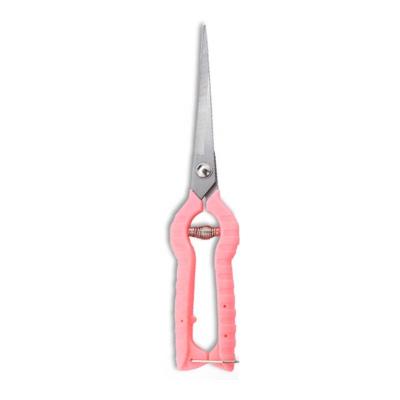 China Universal PARON Cutting Fruit Tree Scissors Hand Garden Shears Gardening Shears Flower Trimmers Pruners for sale