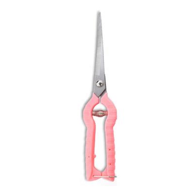 China PARON Anti-Slip Handle Fruit Tree Scissors Hand Garden Shears Gardening Shears Flower Trimmers Pruners for sale