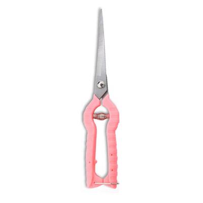 China Universal PARON Cutting Fruit Tree Scissors Hand Garden Shears Gardening Shears Flower Trimmers Pruners for sale