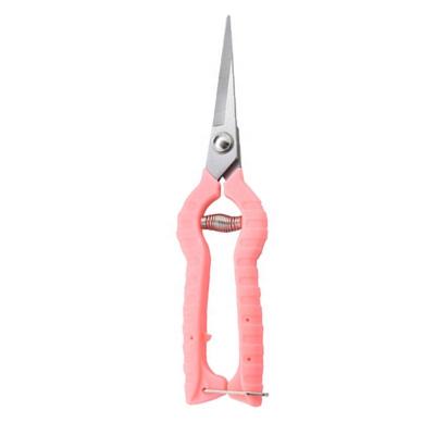 China Universal Professional Gardening Paron Cutting Shears Tree Shears Scissors Flower Garden Shears for sale