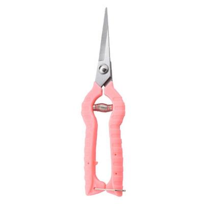 China Professional Gardening Plant Cutting PARON Shears Tree Shears Scissors Flower Garden Shears for sale