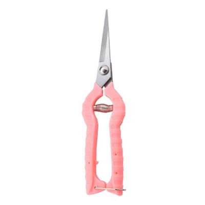 China Professional Gardening Anti-skid Handle PARON Shears Tree Shears Scissors Flower Garden Shears for sale