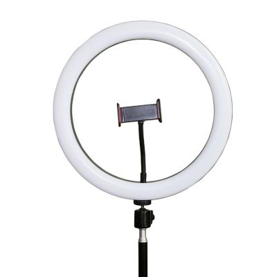 China Selfie Circular KALIOU Ring Light 30cm Led With ABS Plastic USB Connector White Warm Soft Light For Live Camera Video Fill Light for sale