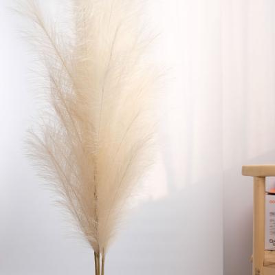 China Home Decotation Tall Artificial Pampas Grass Faux Reed Grass Fluffy Bunch Large For Vase Filler Living Room Kitchen Boho Decor for sale