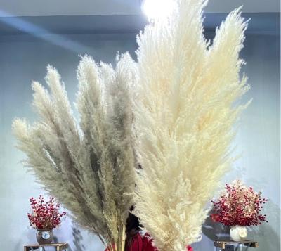 China Decotation Home Artificial Pampas Grass Bouquet Dried Decorative Flowers For Home Decoration for sale